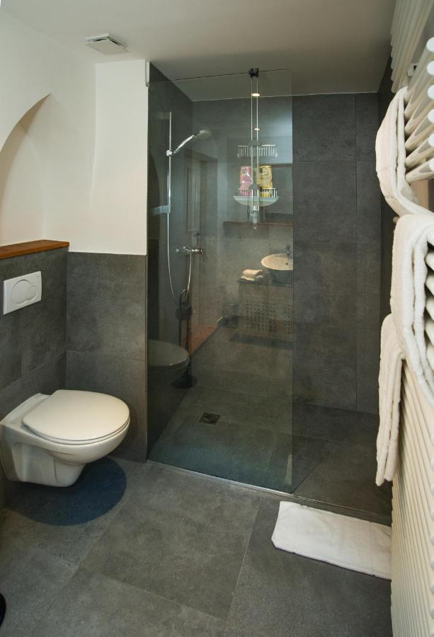 Goldgasse Apartments De Luxe Залцбург Екстериор снимка